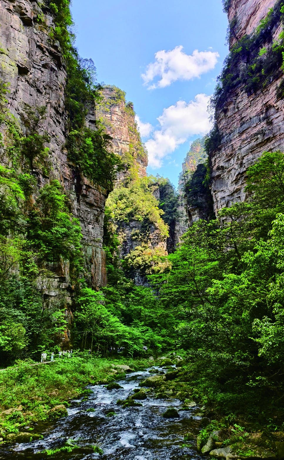 Official Golden Whip Stream photograph looking through the narrow sandstone gorge