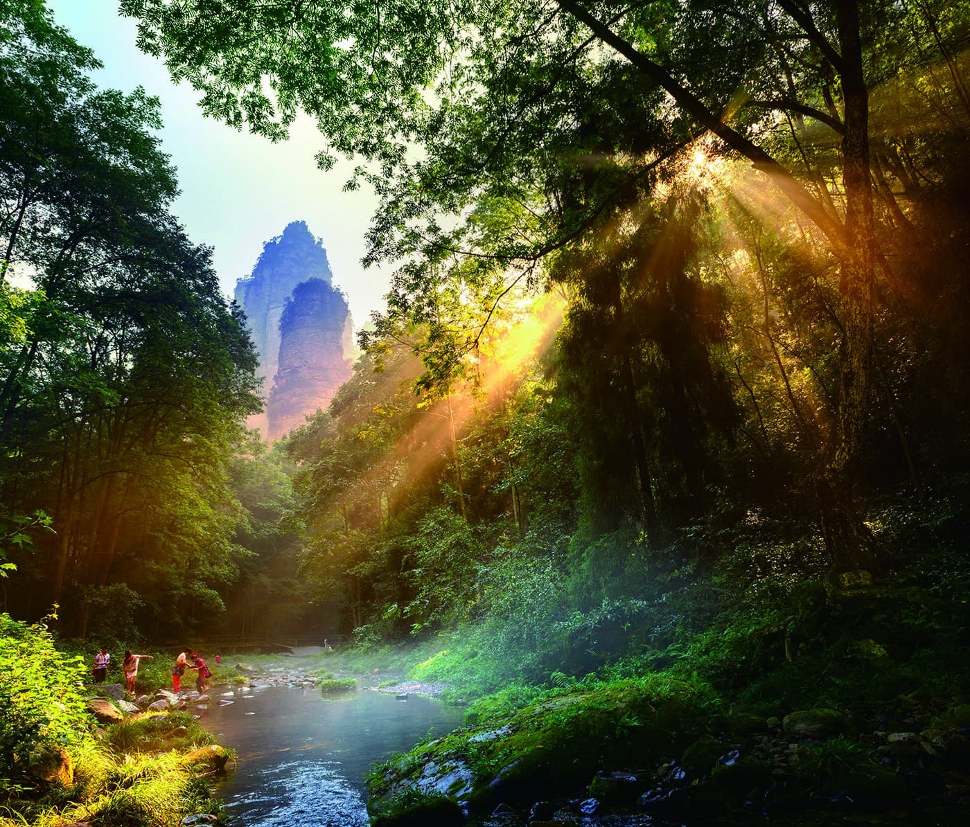 Official Golden Whip Stream photograph with sunlight entering the forest and stream