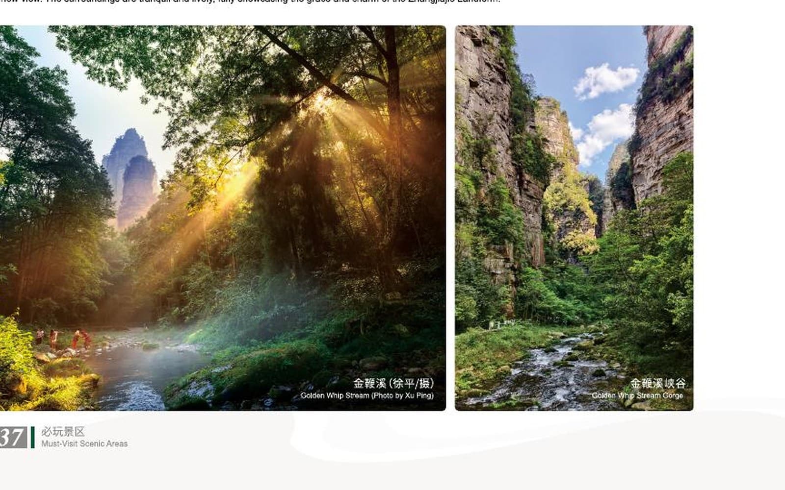 Golden Whip Stream beneath sandstone peaks and dense forest