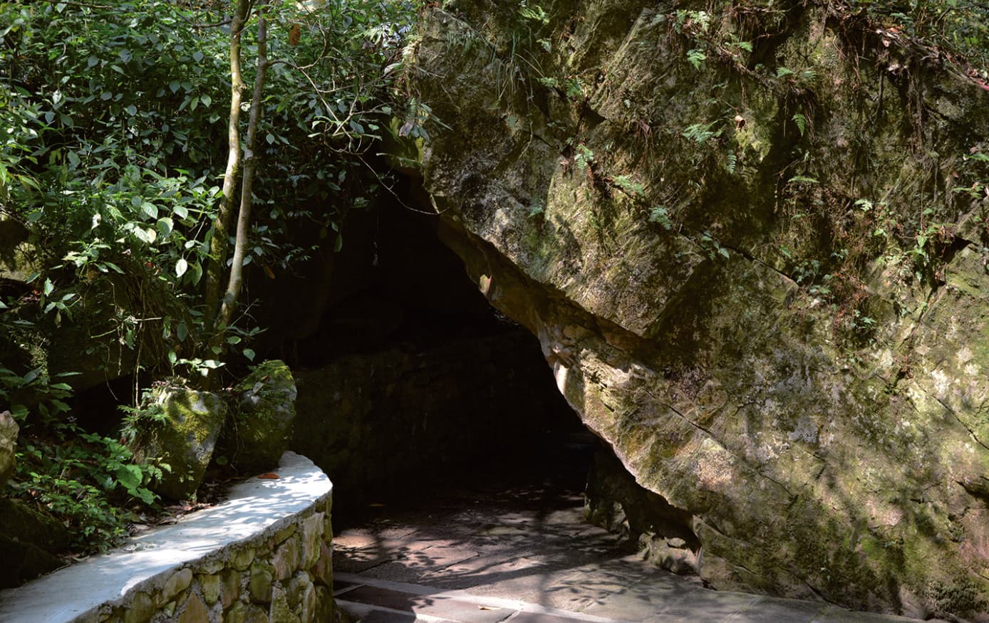 Collapsed sandstone rock block beside a forest path