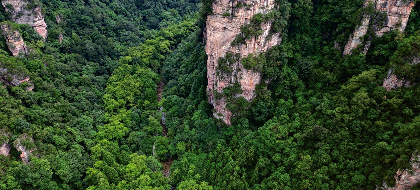Golden Whip Stream running below forested sandstone cliffs