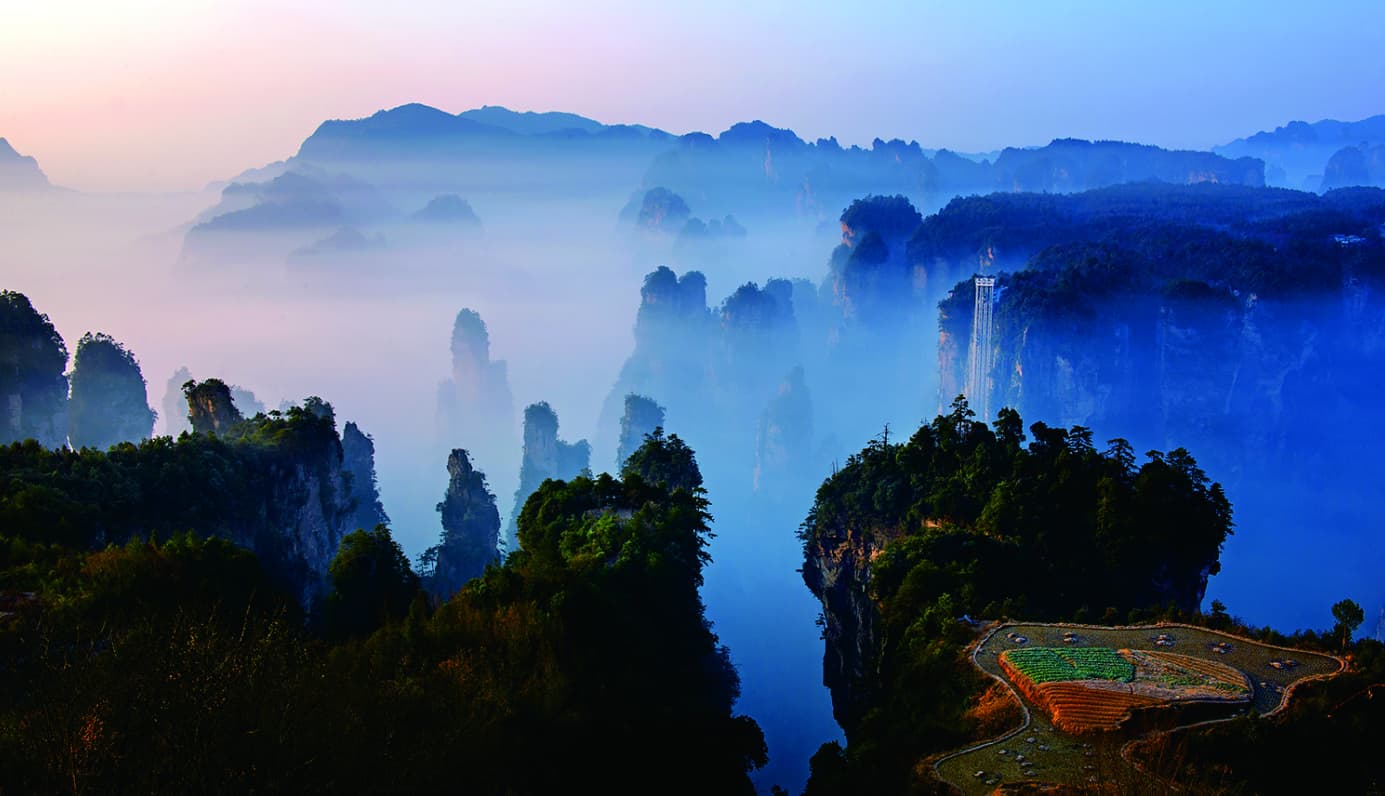 Official Tianzi Mountain peak forest rising above cloud