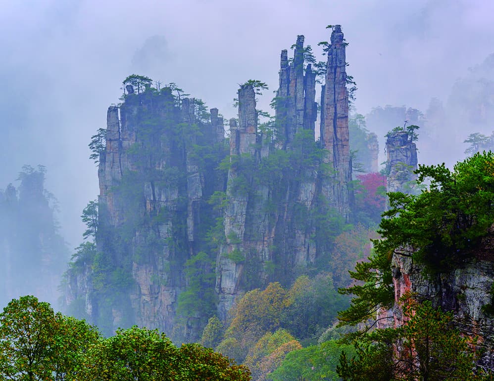 Imperial Brush Peak rising through mist