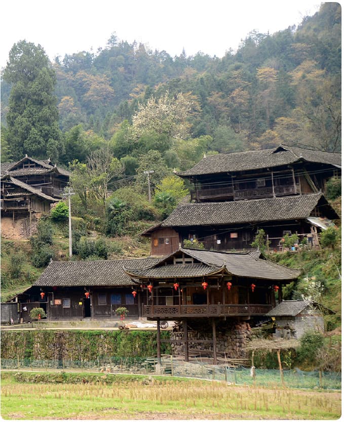 Tujia stilted houses documented in the official Tour Guide Manual