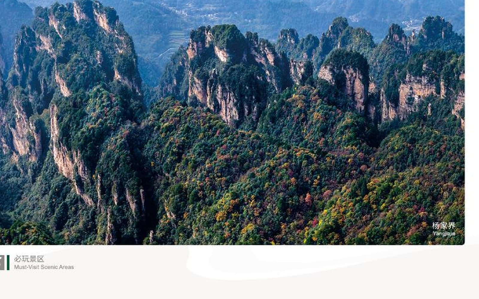Forested sandstone peak walls across Yangjiajie
