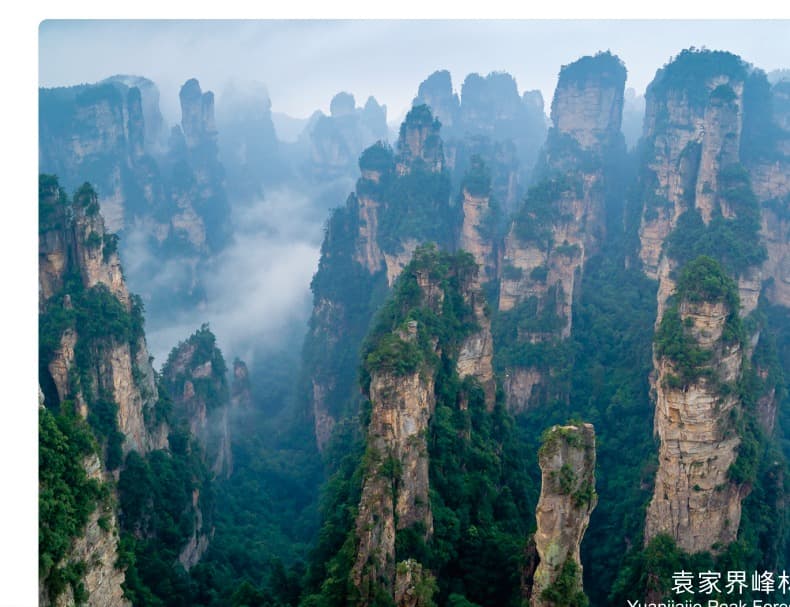 Sandstone pillars and forest partly hidden by mist in Yuanjiajie