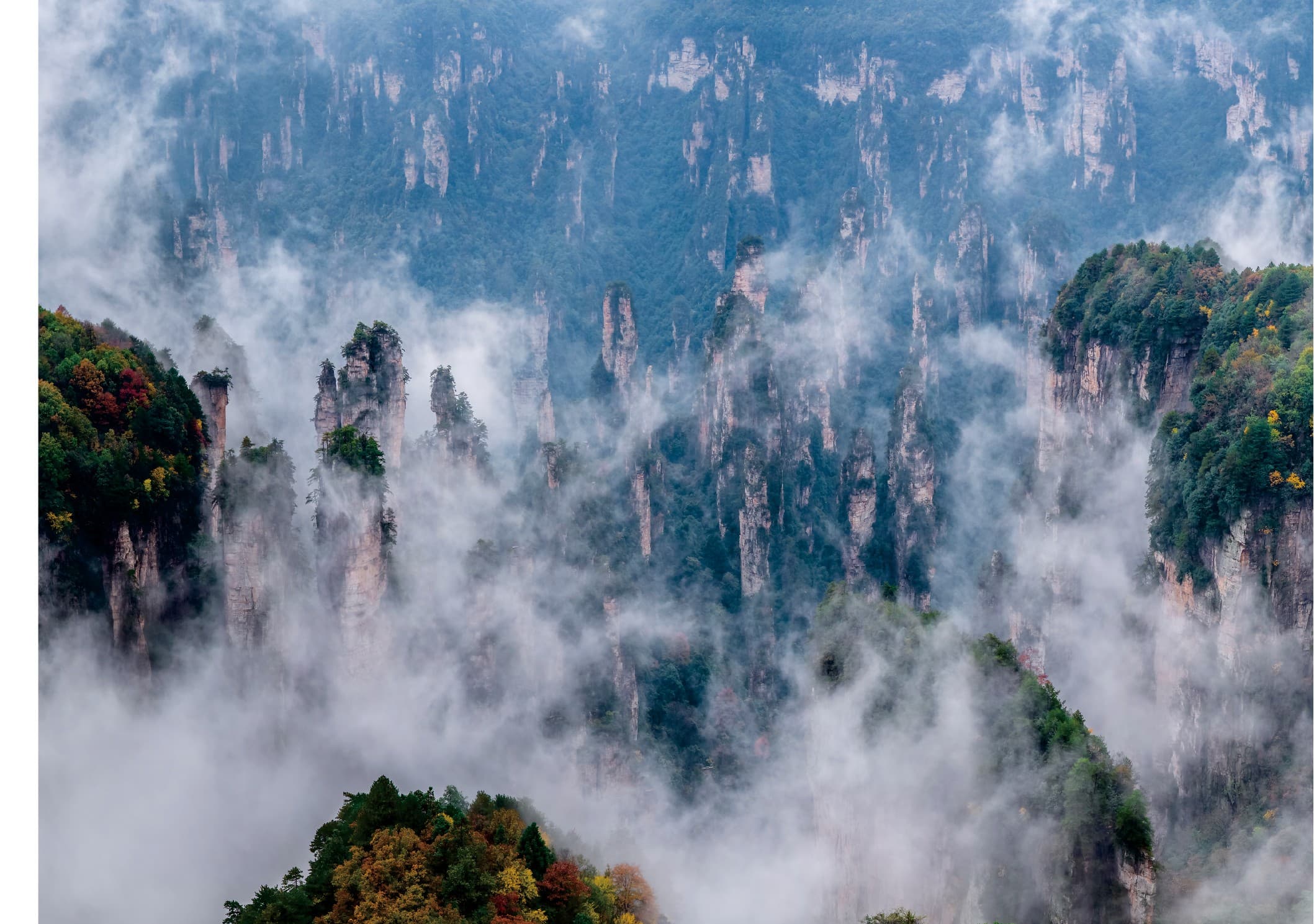 Forested Zhangjiajie sandstone pillars appearing through dense cloud in the official Tour Guide Manual.