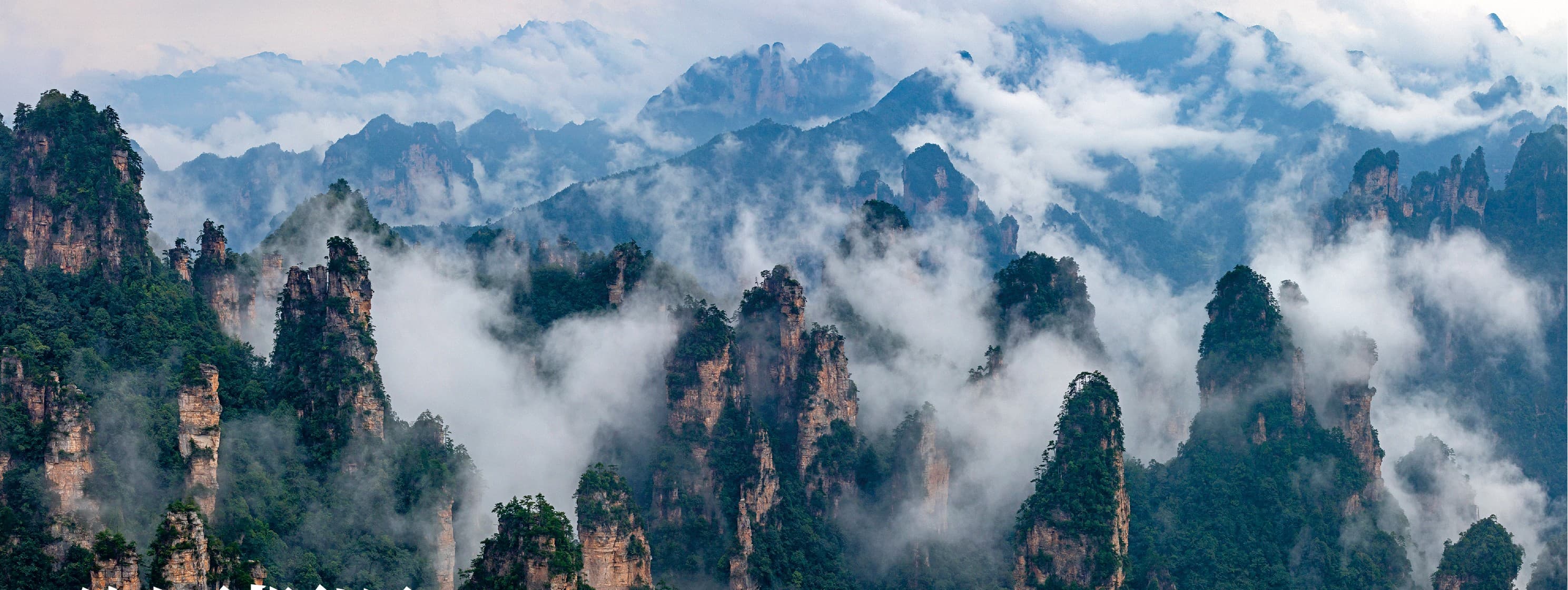 Zhangjiajie sandstone pillars rising through layers of mountain mist in the official Tour Guide Manual.
