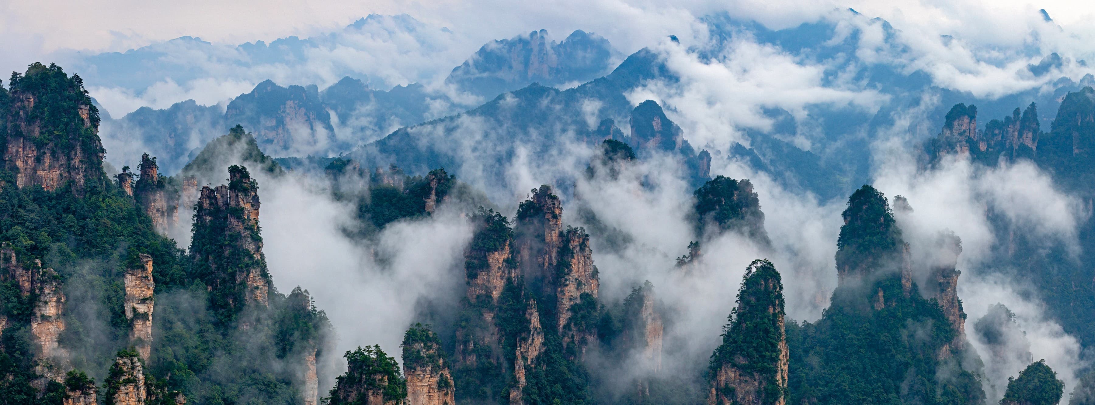 Zhangjiajie's quartz-sandstone peak forest rising through cloud in the official Tour Guide Manual.